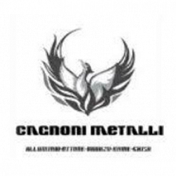 Cagnoni Metalli logo