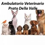 Ambulatorio Veterinario Prato Della Valle