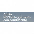 Ncc Noleggio Auto con Conducente Pavia