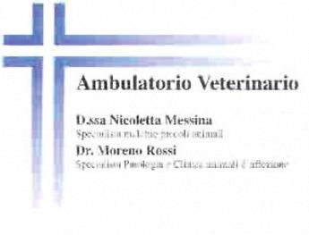 AMBULATORIO VETERINARIO ASSOCIATO DOTT.SSA MESSINA - DR. ROSSI AMBULATORIO VETERINARIO