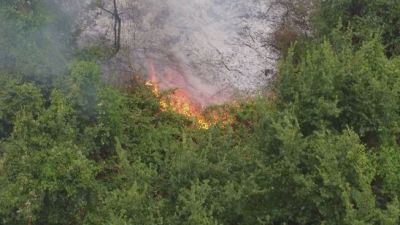 Gli incendi sul Gargano, i turisti e i bagnanti evacuati via mare