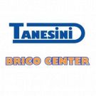 M.E.F. Tanesini - Brico Center