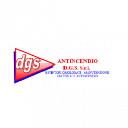 Antincendio D.G.S. logo