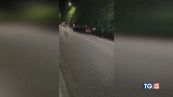 Auto contro giovani dopo rissa a Taormina