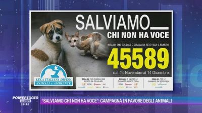 "Salviamo chi non ha voce": campagna in favore degli animali
