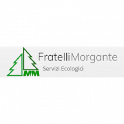 MM Fratelli Morgante logo