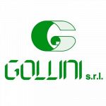 Gollini