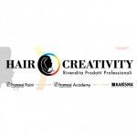 Hair Creativity Framesi Point