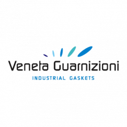 Veneta Guarnizioni logo