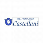 Azienda Agricola Castellani Dino
