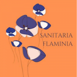 Sanitaria Ortopedia Flaminia logo