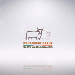 Griglieria Maremmana Bio logo