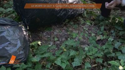 La morte di Liliana Resinovich: il giallo dell'edera schiacciata