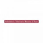 Ambulatorio Veterinario Associato Dott.ssa Messina - Dr. Rossi