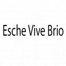 Esche Vive Brio
