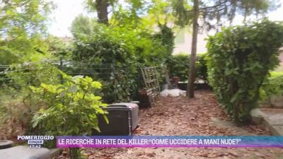 Viadana, le ricerche in rete del killer: "Come uccidere a mani nude?"