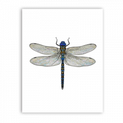 Laboratorio Libellula logo