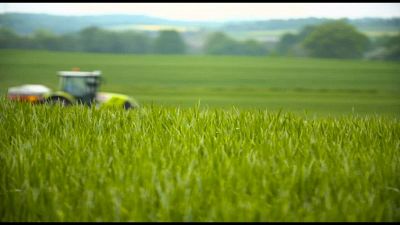 Fitofarmaci, minaccia silenziosa per la salute umana e animale