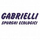 Gabrielli Spurghi Ecologici