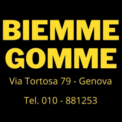 Biemme Gomme logo