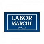 Labor Marche Stp S.r.l