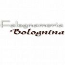 Falegnameria Bolognina