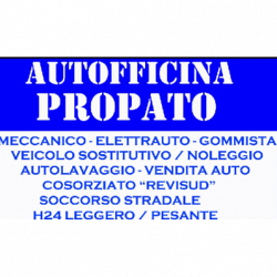 Autofficina Propato logo
