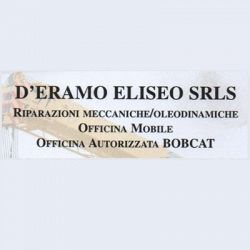 D'Eramo Eliseo - Assistenza Tecnica Macchine Movimento Terra, Bobcat logo