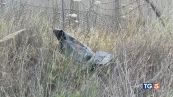 Missile sull'aeroporto, Israele: dura risposta