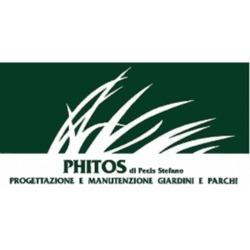 Phitos logo