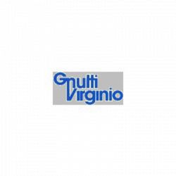 Gnutti Virginio Spa logo