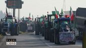 La rivolta dei contadini: "Vogliono distruggere la nostra terra"