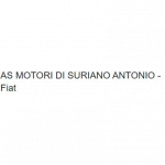 Suriano Antonio As Motori