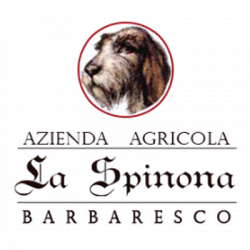 Azienda Agricola La Spinona logo