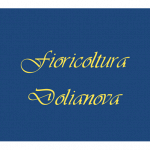 Agenzia Funebre Fioreria Dolianova