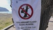 "Vietato arrampicarsi sugli alberi", a Sestri Levante nuovo stop