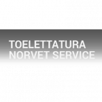 Toelettatura Norvet Service