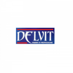 Delvit logo