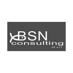 Bsn Consulting 42 logo