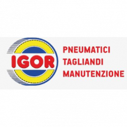 I.G.O.R. Pneumatici - Autofficina logo
