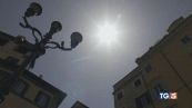 Fuga verso le vacanze. Non li abbandoniamo!