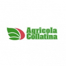 Agricola Collatina