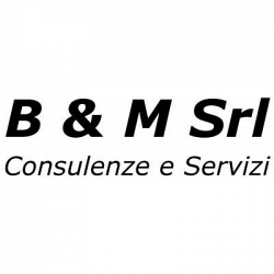 B & M Consulenze e Servizi logo