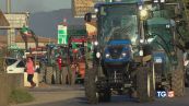 Agricoltori determinati