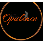 Opulence Sexy Shop