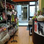 Gatto A Biella Paginegialleit