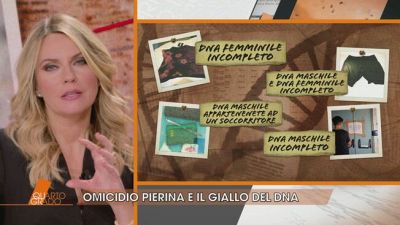 Pierina Paganelli: il giallo del DNA