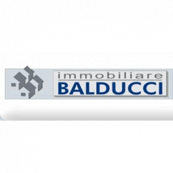 Immobiliare Balducci logo
