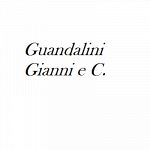 Autotrasporti Guandalini Gianni e C.
