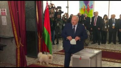 Bielorussia, Lukashenko vince presidenziali con l'86,8% dei voti